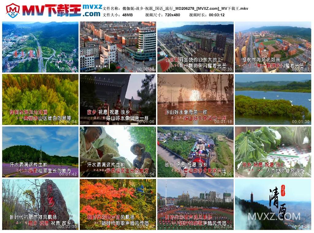 魏伽妮-故乡·祝愿_国语_流行_MD206278